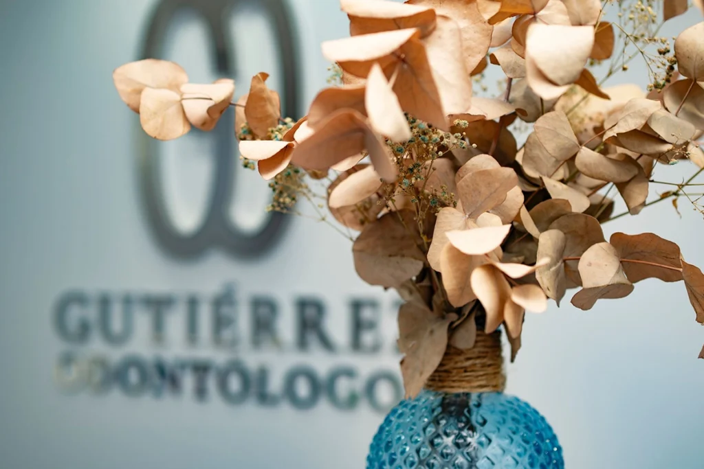Detalle decorativo de ramo seco en jarrón azul frente al logotipo de la clínica dental Gutiérrez Odontólogos en Almería